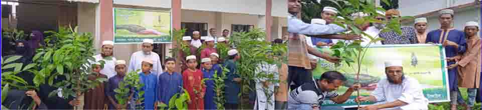  SHALIKHA FAZIL (DEGREE) MADRASAH - Slide
