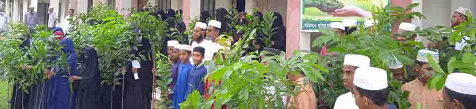  SHALIKHA FAZIL (DEGREE) MADRASAH - Slide